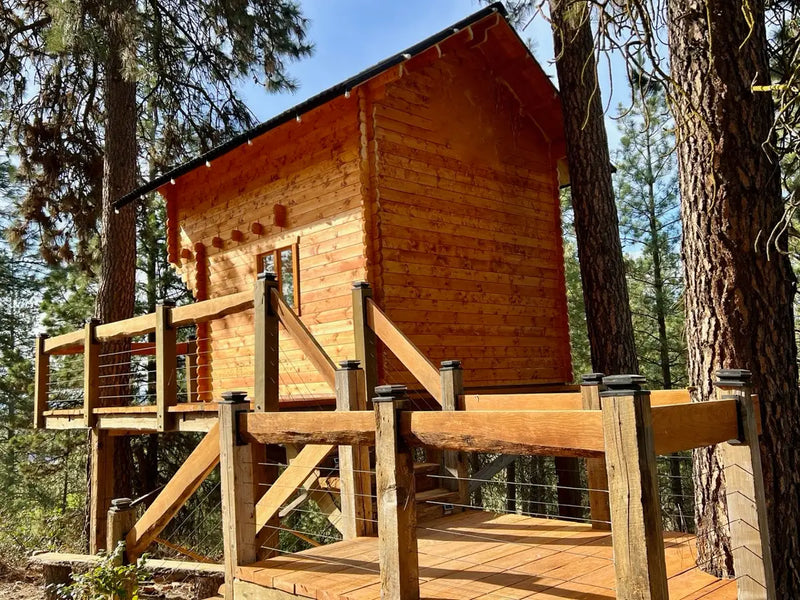 Wooden treehouse nestled among trees with a clear blue sky.